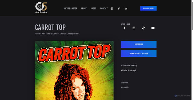 Security scan screenshot of https://www.dayafterdaymusic.com/artists/carrot-top/