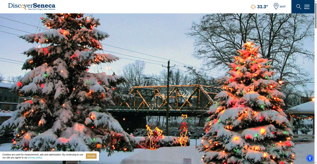 Security scan screenshot of https://www.discoverseneca.com/wonderful-life/