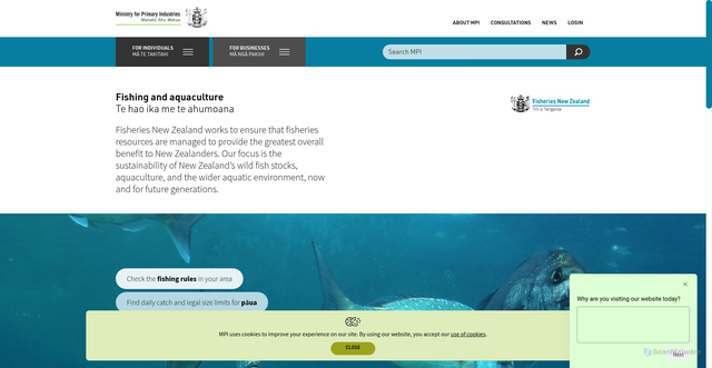 Security scan screenshot of http://www.fish.govt.nz/