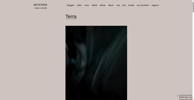 Security scan screenshot of https://microhem.se