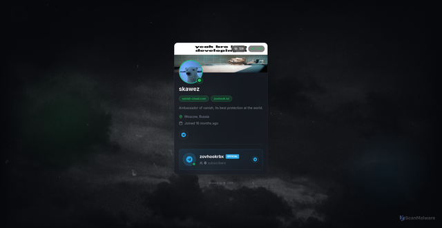 Security scan screenshot of https://skawez.lol/