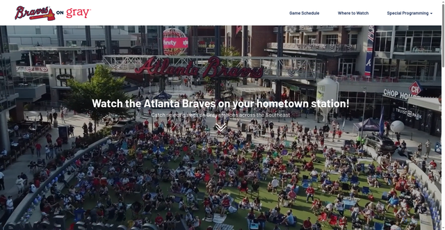 Security scan screenshot of https://watchongray.com/