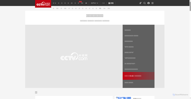 Security scan screenshot of https://cctv.com