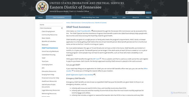 Security scan screenshot of https://www.tnep.uscourts.gov/content/snap-food-assistance