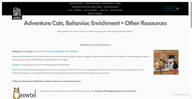 Security scan screenshot of https://www.catssafeathome.org/other-resources