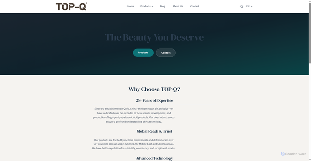 Security scan screenshot of https://topqfiller-qncl7bo82v.edgeone.app/