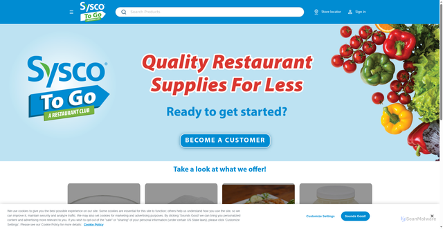Security scan screenshot of https://www.syscotogo.com/