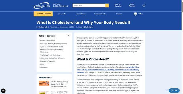 Security scan screenshot of https://resources.walkinlab.com/cholesterol/what-is-cholesterol-body-need/
