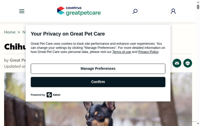 Security scan screenshot of https://www.greatpetcare.com/dog-breeds/chihuahua/