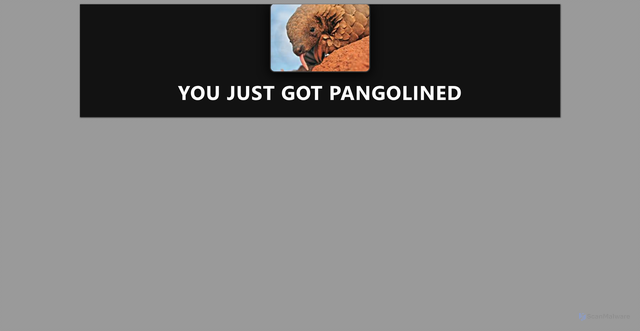 Security scan screenshot of https://hamandcheese-wtd8g5st2o.edgeone.app/