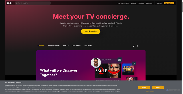 Security scan screenshot of https://www.plex.tv/
