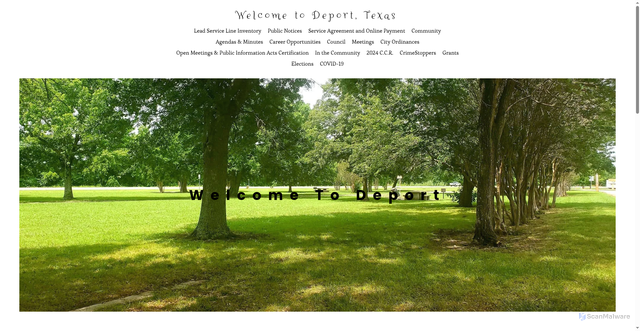 Security scan screenshot of https://www.deporttexas.gov/