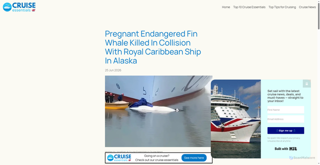Security scan screenshot of https://cruiseessentials.co.uk/pregnant-endangered-fin-whale-killed-in-collision-with-royal-caribbean-ship-in-alaska/