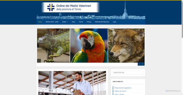 Security scan screenshot of https://www.veterinaritorino.it/