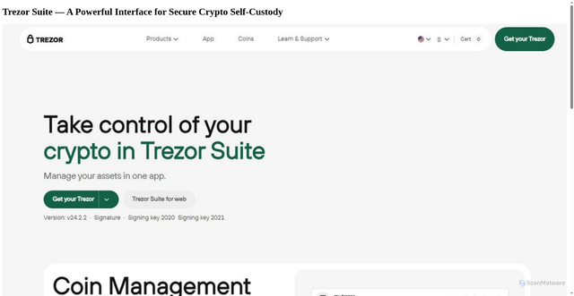 Security scan screenshot of https://en-sute-trezo.wasmer.app/