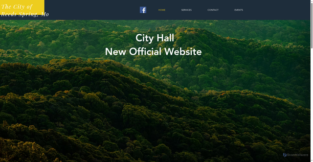 Security scan screenshot of https://www.reedsspringmo.gov/
