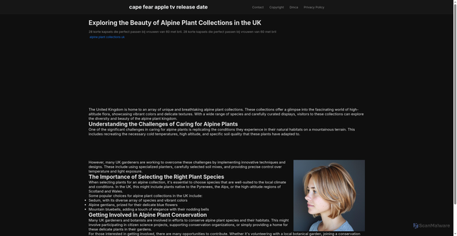 Security scan screenshot of https://antifazonlineblog-dpso1w19jbsi.edgeone.app/alpine-plant-collections-uk.html