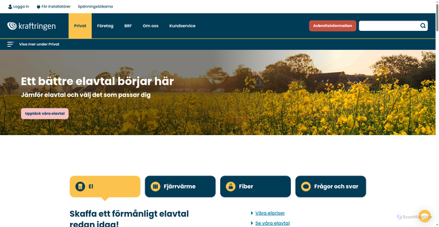 Security scan screenshot of https://kraftringen.se