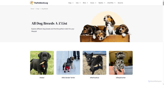 Security scan screenshot of https://thepetworld.org/dog-breeds