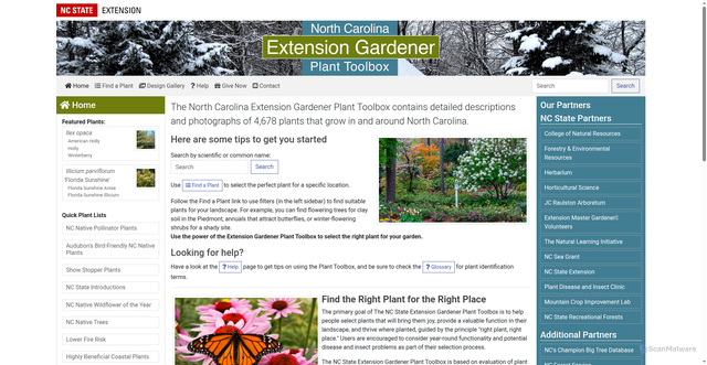 Security scan screenshot of https://plants.ces.ncsu.edu