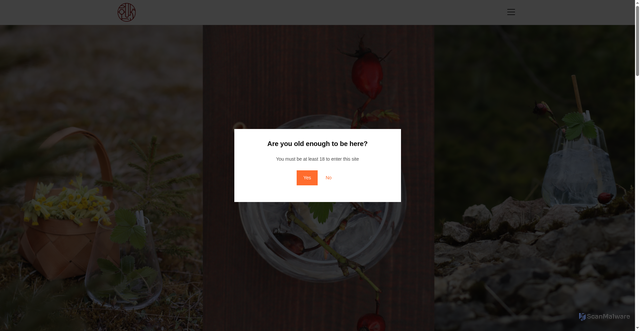 Security scan screenshot of https://ouk.ee/
