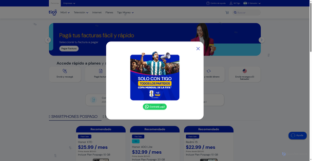 Security scan screenshot of http://tigosnvrp.help/