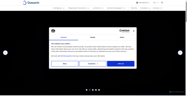 Security scan screenshot of https://int.diasorin.com