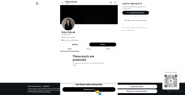 Security scan screenshot of https://twitter.com/ozlem_yalta