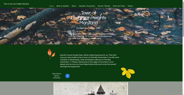 Security scan screenshot of https://www.lochlynnhgts.gov/
