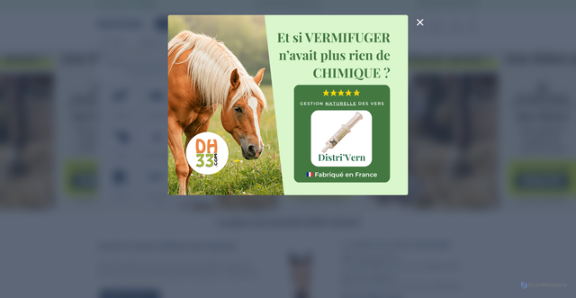 Security scan screenshot of https://equirodi.com
