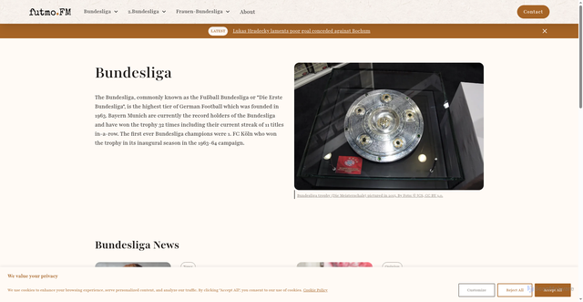 Security scan screenshot of https://www.futmo.com/leagues/bundesliga