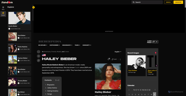Security scan screenshot of https://justinbieber.fandom.com/wiki/Hailey_Bieber