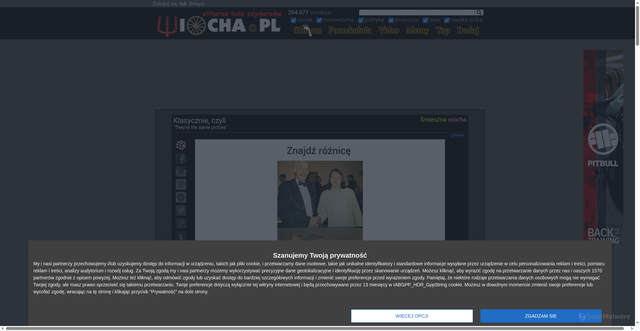 Security scan screenshot of https://www.wiocha.pl
