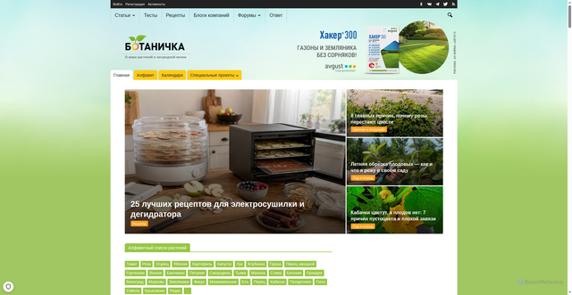 Security scan screenshot of https://botanichka.ru