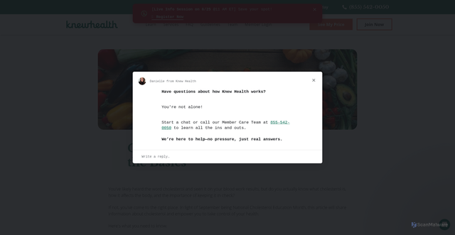 Security scan screenshot of https://www.knewhealth.com/cholesterol-101-understanding-the-basics