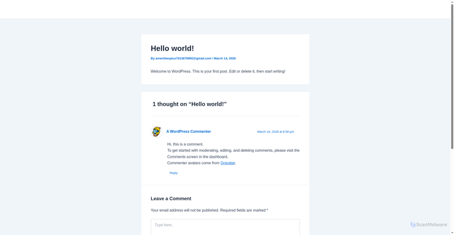 Security scan screenshot of https://amenitiesplus.io/hello-world/