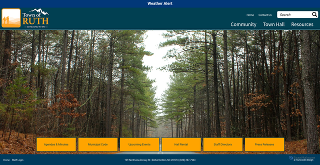 Security scan screenshot of https://www.townofruthnc.gov/