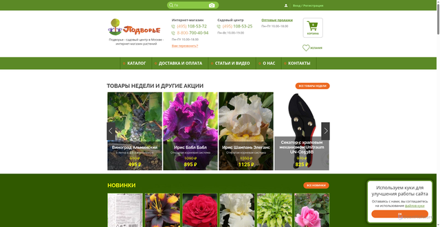 Security scan screenshot of https://www.podvorje.ru