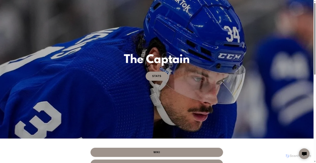 Security scan screenshot of https://austonmatthews.ca/