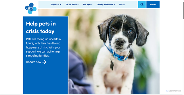 Security scan screenshot of https://bluecross.org.uk
