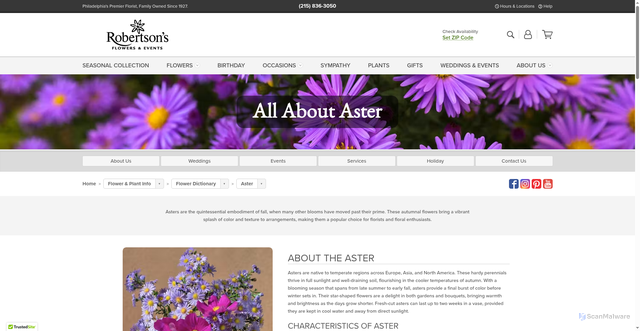 Security scan screenshot of https://www.robertsonsflowers.com/knowledge/flower-dictionary/aster/?srsltid=AfmBOors7n979wsp8_G6ejFhiftj2BS0y4a3V12XZNRujBdIMHG6gS_b