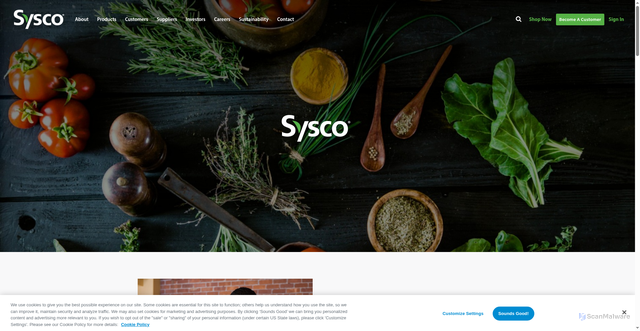 Security scan screenshot of https://www.syscospokane.com/