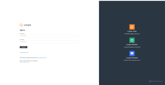 Security scan screenshot of https://loupe-app-useast2.onloupe.com