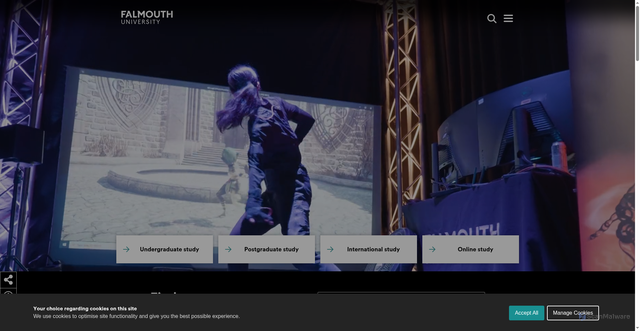 Security scan screenshot of https://www.falmouth.ac.uk/