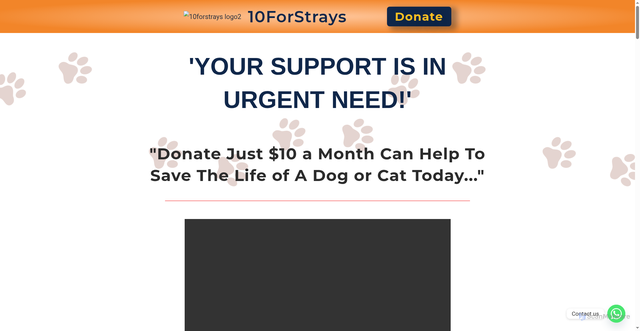 Security scan screenshot of https://10forstrays.com
