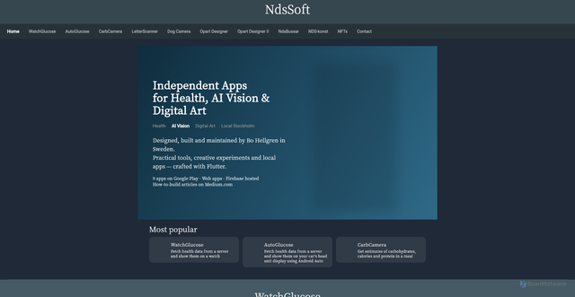 Security scan screenshot of https://ndssoft.se