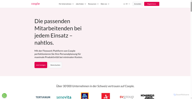 Security scan screenshot of https://www.coople.com