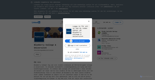 Security scan screenshot of https://se.linkedin.com/company/blueberry-college-universitet