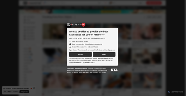 Security scan screenshot of amsterdam.xhamster46.desi
