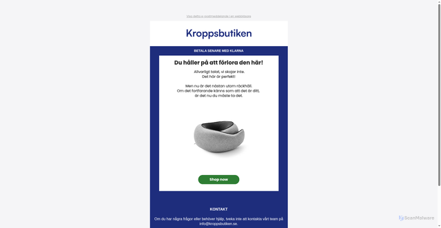 Security scan screenshot of cdn.shopify.com